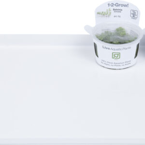 Self Service Display tray 22,5 x 36 cm