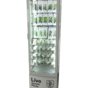 Tropica Glass Display Cooler