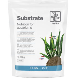 Substrate 5 L