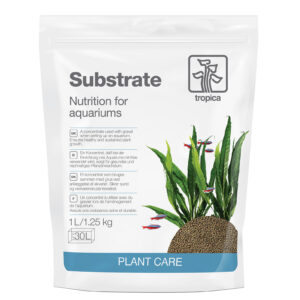 Substrate 1 L