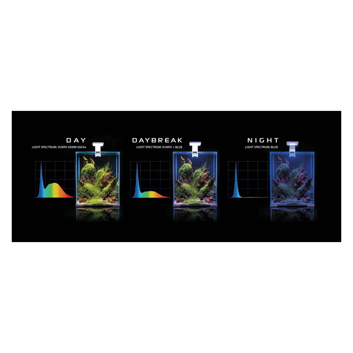 Shrimp Set D&N 10 Black - vue 2