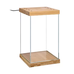 Selva - Mini Terrarium