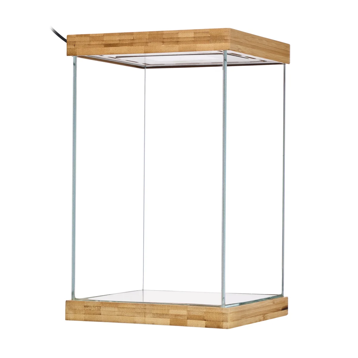 Selva - Mini Terrarium - vue 2