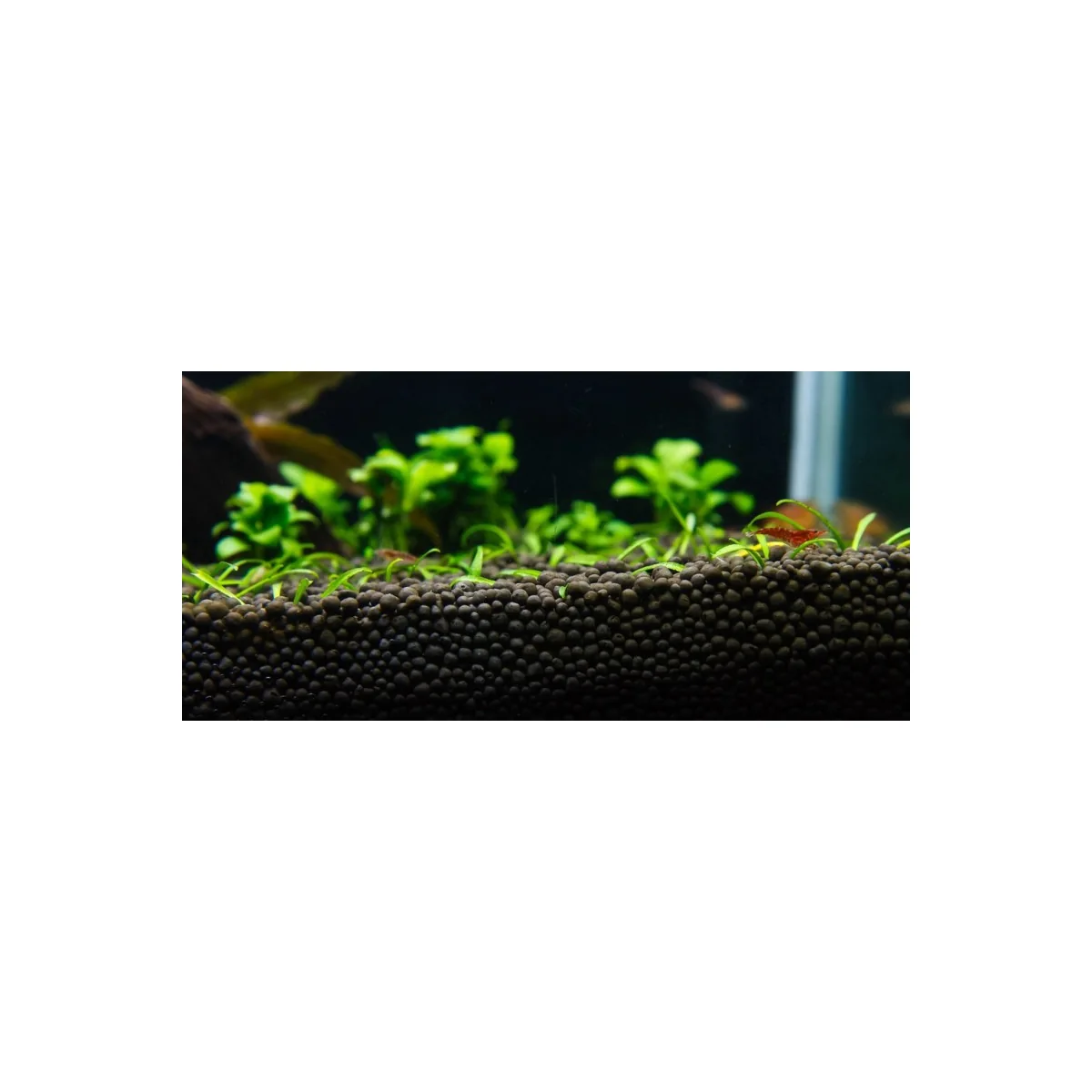 Colombo Flora Mano Base Noir 10 L - vue 3